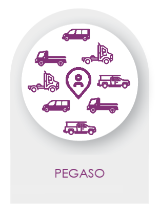 PEGASO
